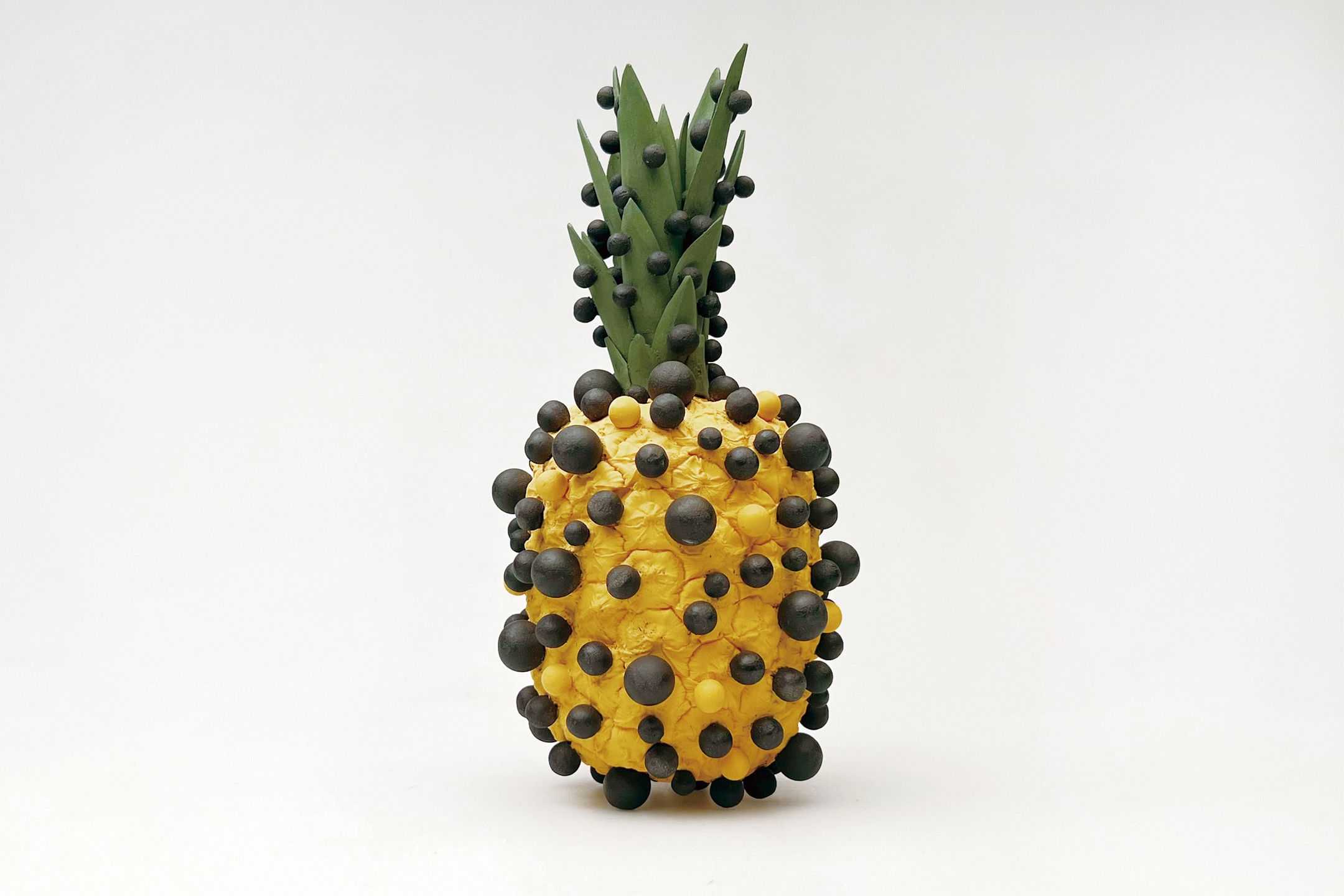 渡邉　泰成 - vegetable skin | 東京藝大アートフェス / TOKYO GEIDAI ARTFESの作品画像 | 4枚目