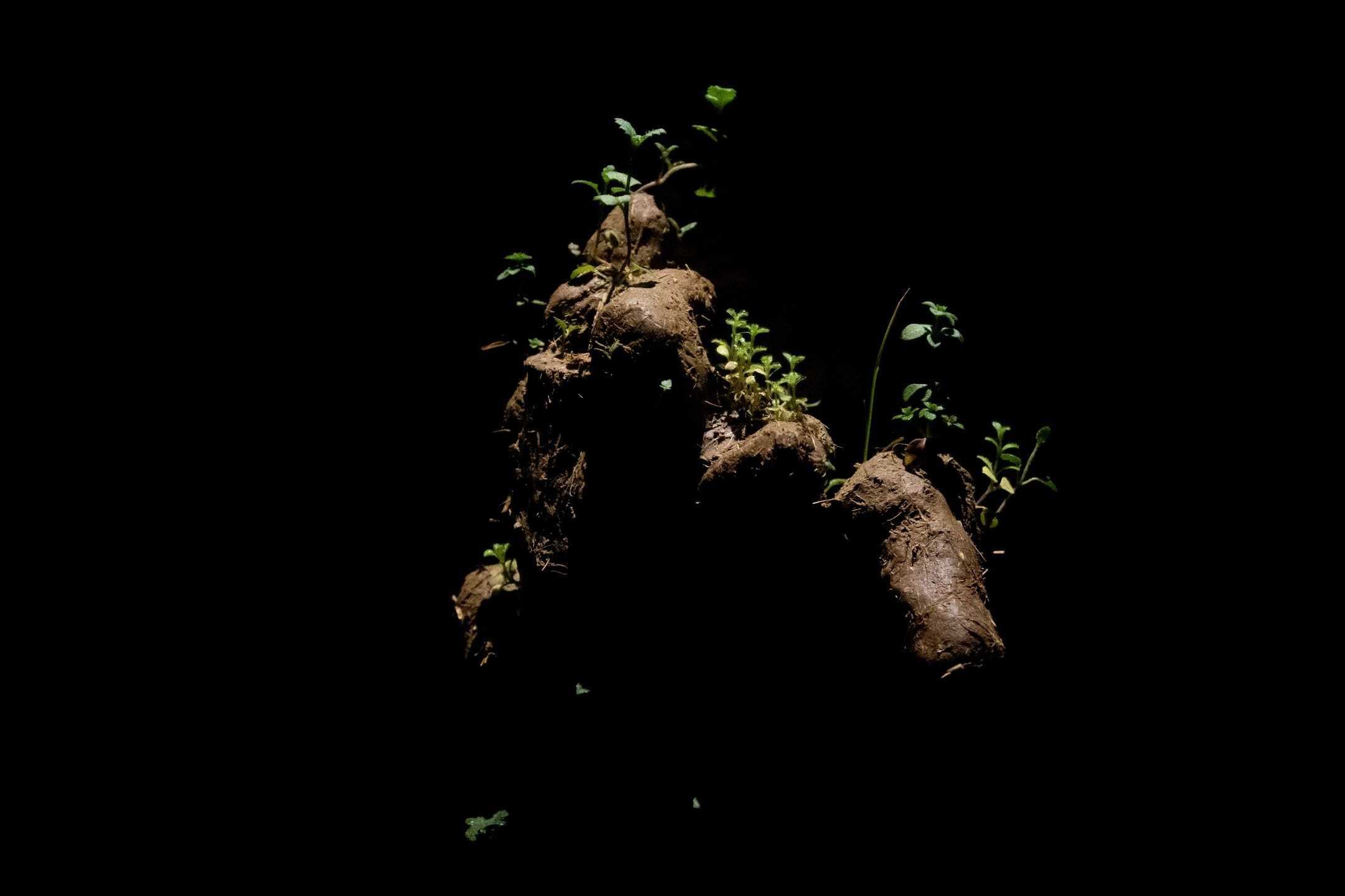 柏木　崇吾 - ある閉ざされた「一瞬」のうちに | 東京藝大アートフェス / TOKYO GEIDAI ARTFESの作品画像 | 7枚目