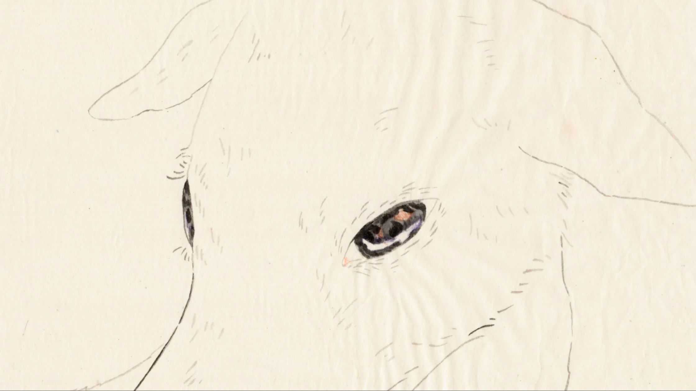 許　芷甄 - 草犬 | 東京藝大アートフェス / TOKYO GEIDAI ARTFESの作品画像 | 5枚目